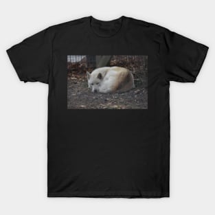 Wolf Dog T-Shirt